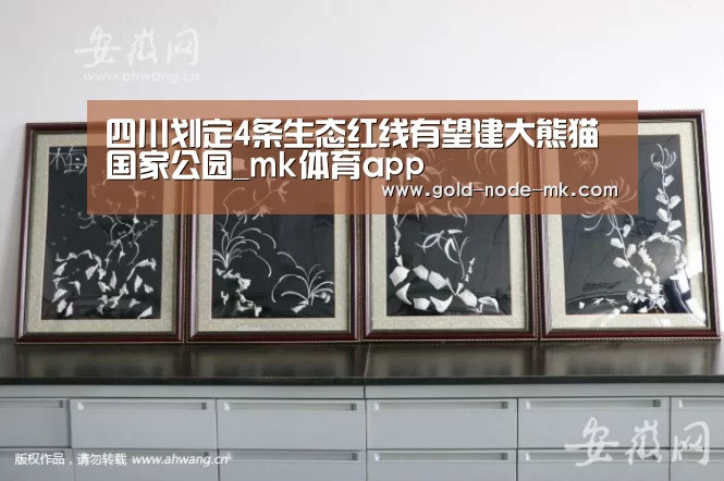 四川划定4条生态红线有望建大熊猫国家公园_mk体育app(图1) mk体育app