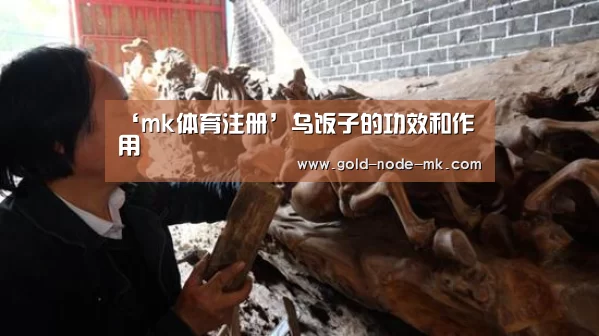 ‘mk体育注册’乌饭子的功效和作用(图1) mk体育注册