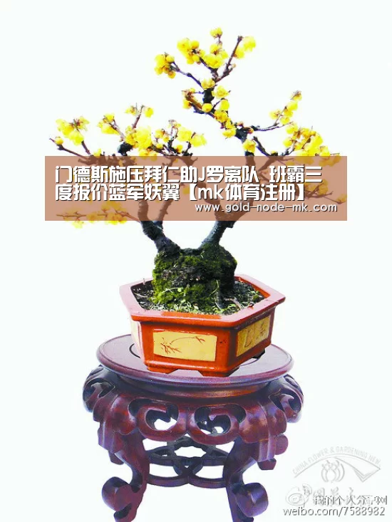 门德斯施压拜仁助J罗离队 班霸三度报价蓝军妖翼【mk体育注册】(图1) mk体育注册