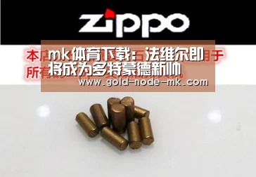 mk体育下载:法维尔即将成为多特蒙德新帅(图1) mk体育注册