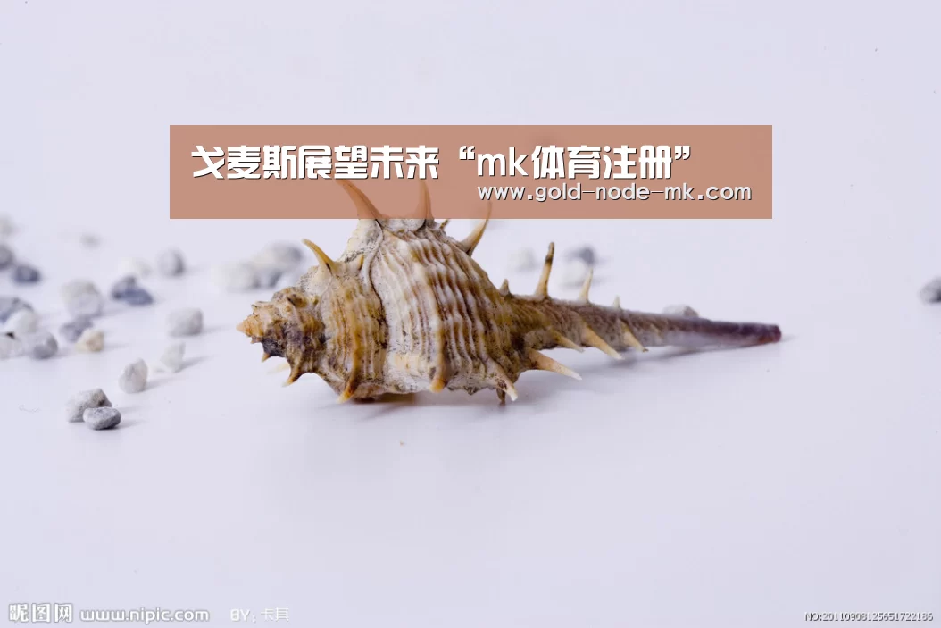 戈麦斯展望未来“mk体育注册”(图1) mk体育在线
