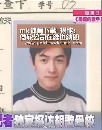 mk体育下载_揭秘:微软公司在维也纳的总部设计(图1) mk体育下载