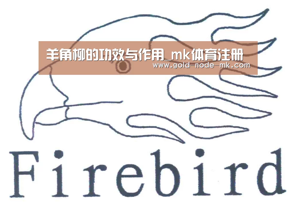 mk体育下载
