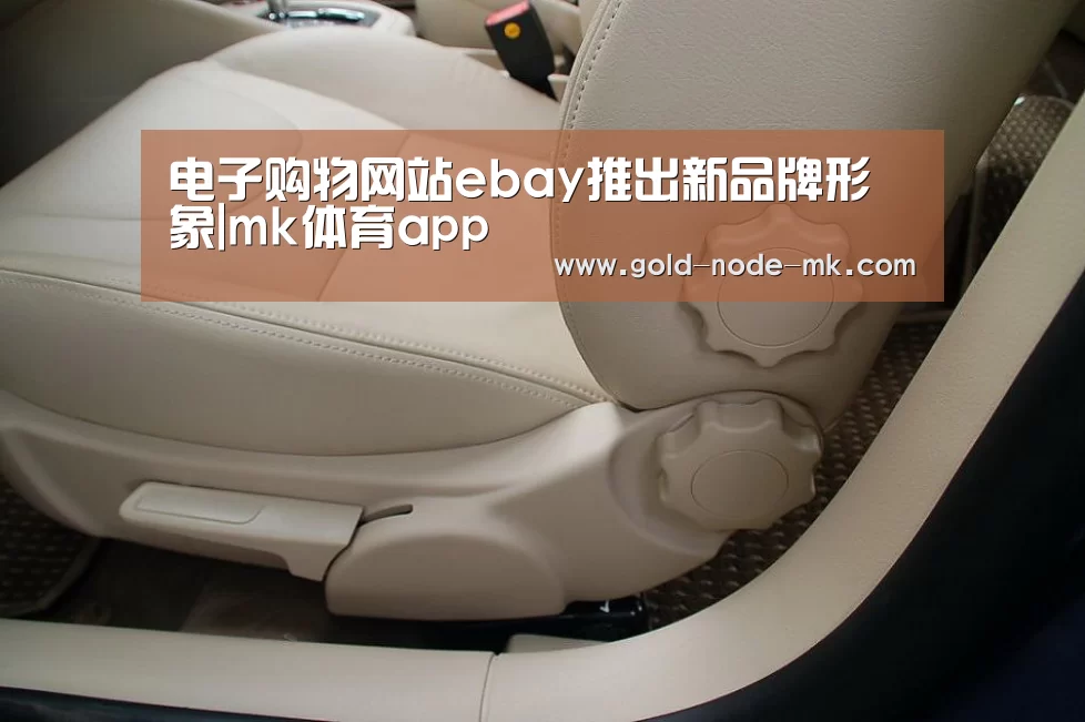 电子购物网站ebay推出新品牌形象|mk体育app(图4) mk体育在线